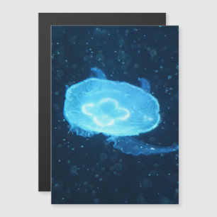 Blaue Schwimmende Qualle Magnetkarte