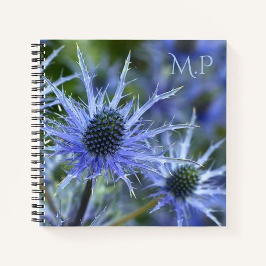 Blaue See-Holly-Distel-Monogramm Notizblock (Vorderseite)