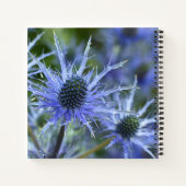 Blaue See-Holly-Distel-Monogramm Notizblock (Rückseite)