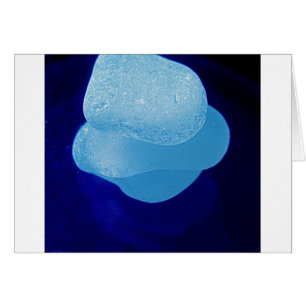 Blaue Seeglas-Reflexionen