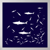 Blaue Seehaie Poster (Vorne)