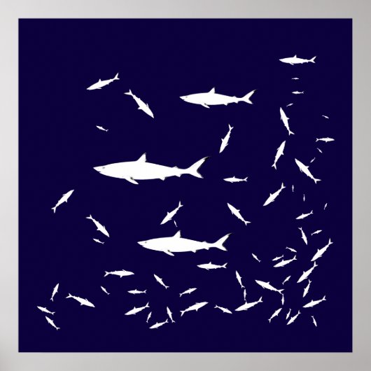 Blaue Seehaie Poster (Vorne)