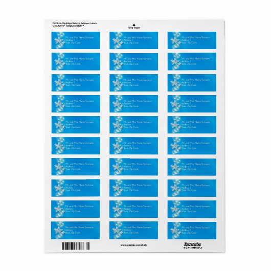 Blaue Seesternblasen (Vorne)