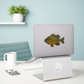 Blaue Sonnenbarsch-Aufkleber Aufkleber (Laptop auf Schreibtisch)