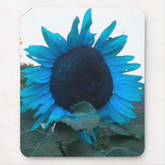 Blaue Sonnenblume 2 Mauspad (Vorne)