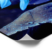 Blaue Sonnenblume, blaue Blume, blaue Blume Poster (Ecke)