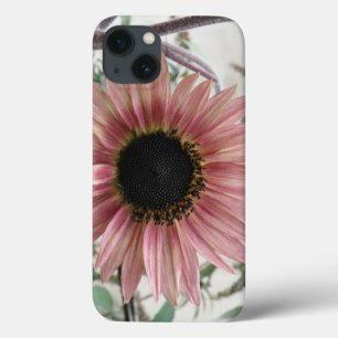 Blaue Sonnenblume ist nicht korrekt, richtig wäre: Case-Mate iPhone Hülle
