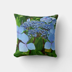 Blaue Spitzen-Cap-Hydrangea-Blüten - Kissen
