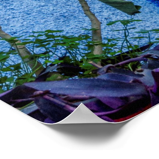 Blaue Stadt, Chefchauan Poster (Ecke)