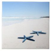 Blaue Starfish Fliese (Vorderseite)