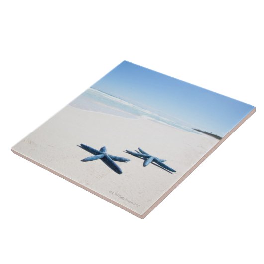 Blaue Starfish Fliese (Seite)