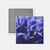blaue Sterne Magnet (Vorderseite/Rückseite)