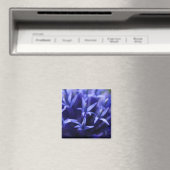 blaue Sterne Magnet (In Situ (Geschirrspüler))