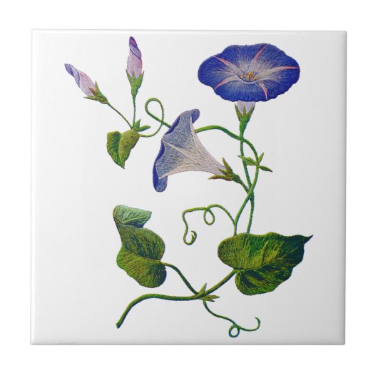 Blaue Stickereien der Trichterwinden Fliese (Vorderseite)