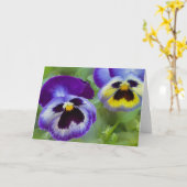 Blaue Stiefmütterchen Karte (Gelbe Blume)