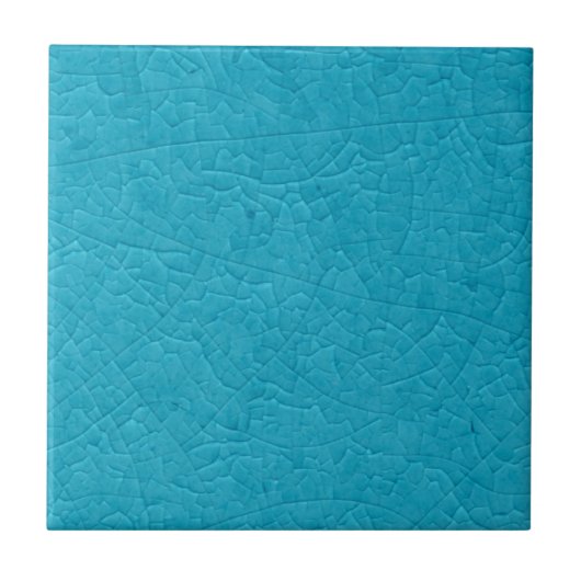 BLAUE STONE FLIESE (Vorderseite)