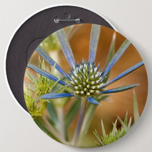 Blaue Strahlen Button (Vorne & Hinten)
