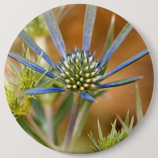 Blaue Strahlen Button (Vorderseite)