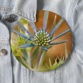 Blaue Strahlen Button (Beispiel)