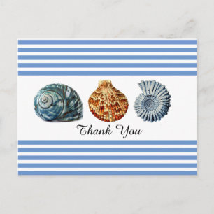 Blaue Streifen mit Meeresmuscheln Postkarte