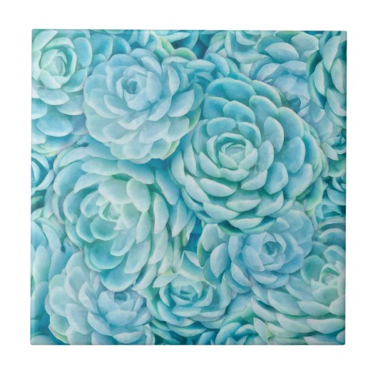 Blaue Sukkuline Fliese (Vorderseite)