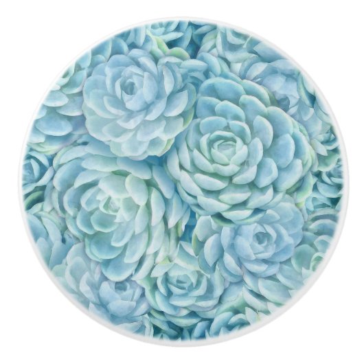 Blaue Sukkuline Keramikknauf (Vorderseite)