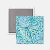 Blaue Sukkuline Magnet (Vorderseite/Rückseite)