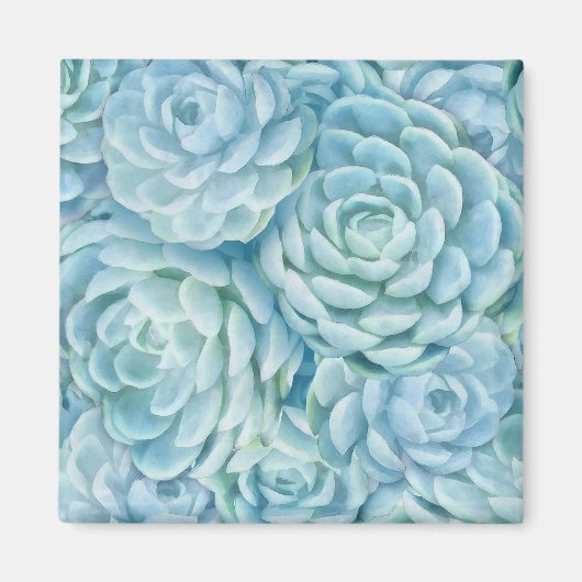 Blaue Sukkuline Magnet (Vorne)