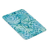 Blaue Sukkuline Magnet (Rechte Seite)