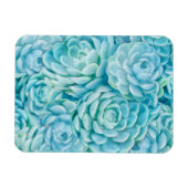 Blaue Sukkuline Magnet (Horizontal)