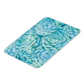 Blaue Sukkuline Magnet (Linke Seite)