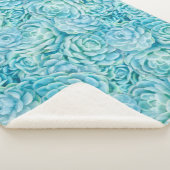 Blaue Sukkuline Sherpadecke (3/4)
