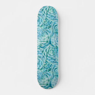 Blaue Sukkuline Skateboard