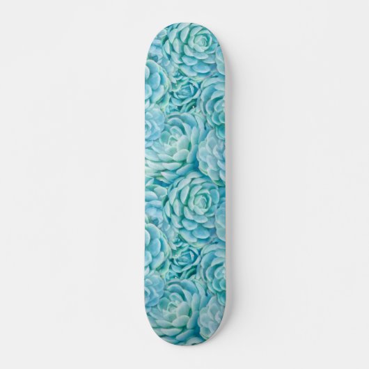 Blaue Sukkuline Skateboard (Vorne)