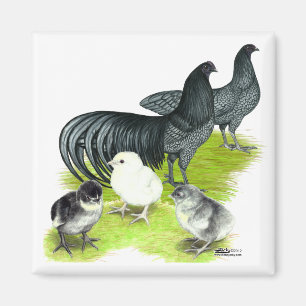 Blaue Sumatra-Familie Magnet