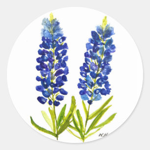 Blaue Texas-Lupinen-Aquarell-Staatsblumen Runder Aufkleber