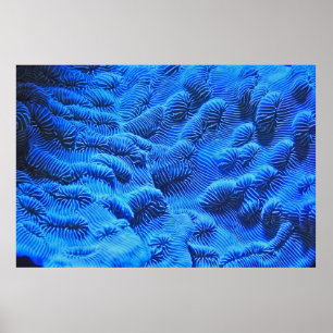 Blaue Textilien Poster