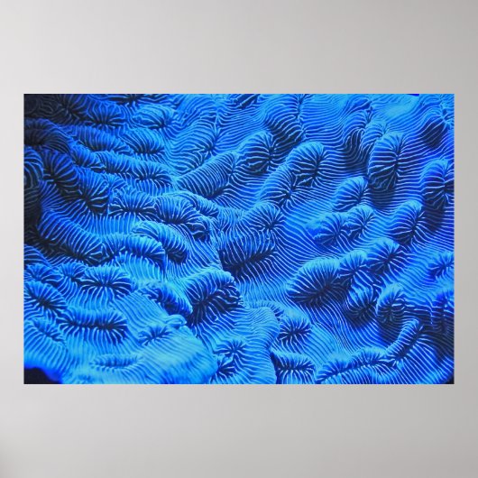 Blaue Textilien Poster (Vorne)