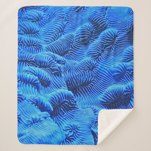 Blaue Textilien Sherpadecke (Vorderseite)