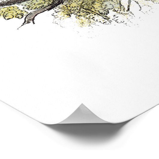 Blaue Titmaus Poster (Ecke)