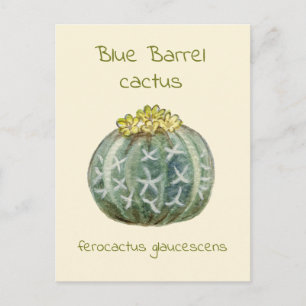 Blaue Tonnenkaktus-Postkarte Postkarte