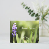 Blaue Traube und grüne Fotografie Postkarte (Stehend Vorderseite)