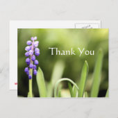 Blaue Traube und grüne Fotografie Postkarte (Vorne/Hinten)