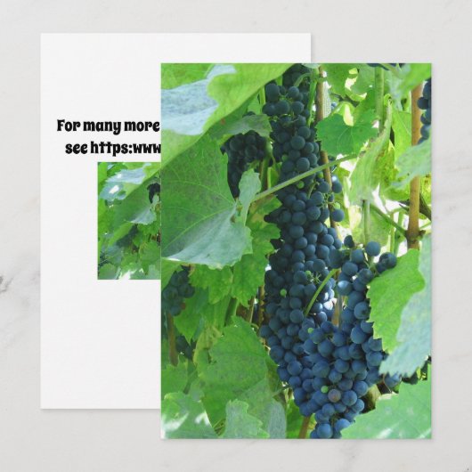 Blaue Trauben Einladung (Vorne/Hinten)