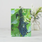 Blaue Trauben Einladung (Stehend Vorderseite)