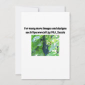 Blaue Trauben Einladung (Rückseite)