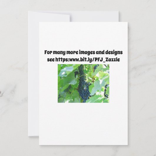 Blaue Trauben Einladung (Rückseite)