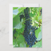 Blaue Trauben Einladung (Vorderseite)