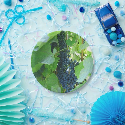 Blaue Trauben Pappteller (Party)