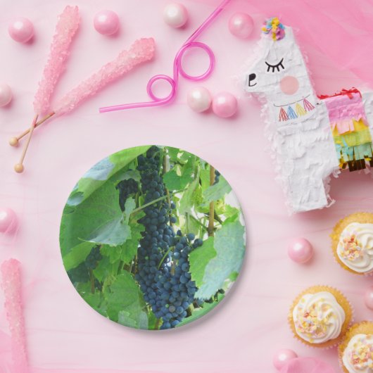 Blaue Trauben Pappteller (Party)